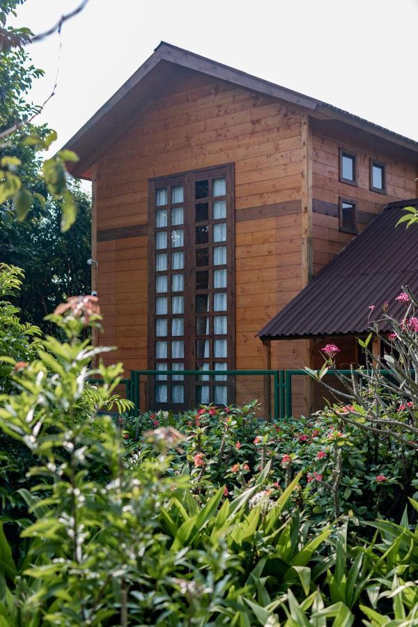 The Pine Loft Villa Bangalore Esterno foto